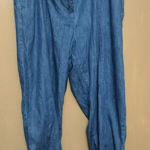 Talbots Denim Blue Pants